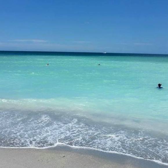 Meet your Posher, Kristin - Picture 1 of 1